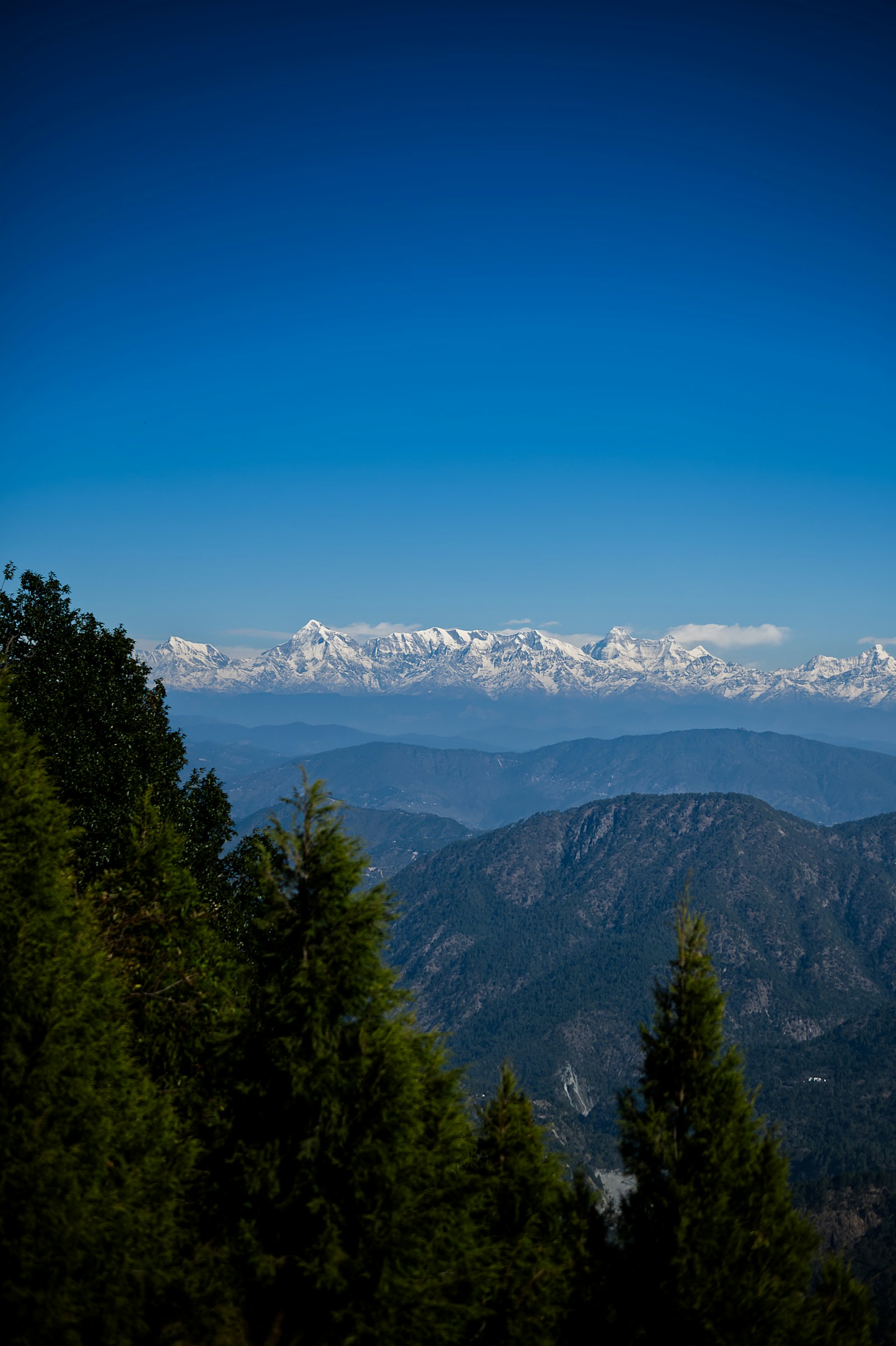 Corbett tour package